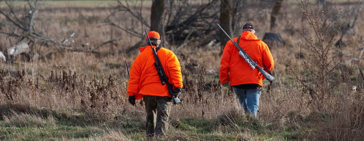 Two hunters in orange high-visibility jackets walking through a grassy field, each carrying a rifle.