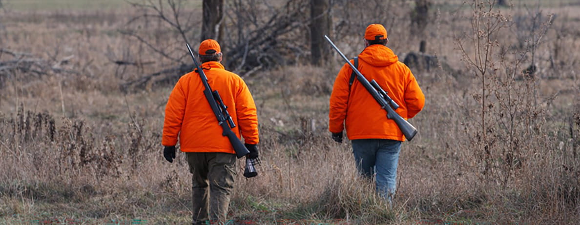 Two hunters in orange high-visibility jackets walking through a grassy field, each carrying a rifle.