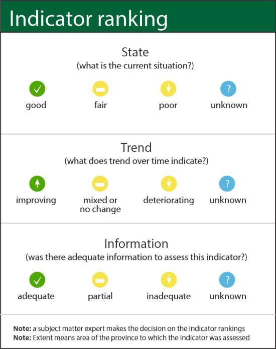 Indicator ranking graphic, showing the ratings for state of the current situation, trend over time and adequacy of information to assess the indicator
