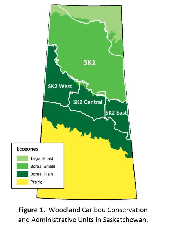 Map of Woodland caribou conservation and administration units in Saskatchewan with a legend that shows the Taiga Shield, Boreal Shield, Boreal Plain and Prairie Ecozones