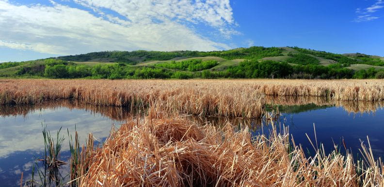 Grass-covered hills, prairie grasses and small bodies of water
