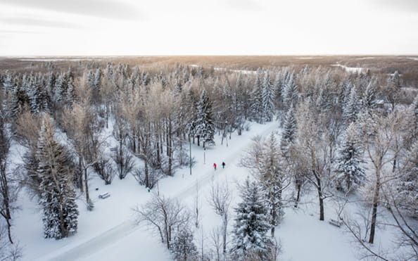 Aerial view of a snow-covered forest with a winding path and three people walking in the distance under a bright winter sky.