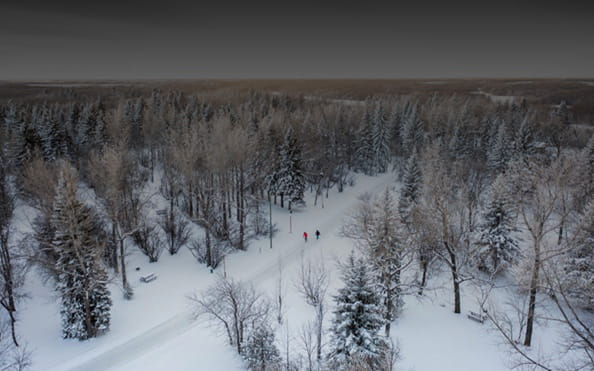 Aerial view of a snow-covered forest with a winding path and three people walking in the distance under a bright winter sky.