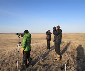 Three people filming wildlife in a field