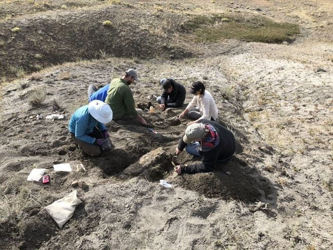 A group of people digging in the dirt. 
