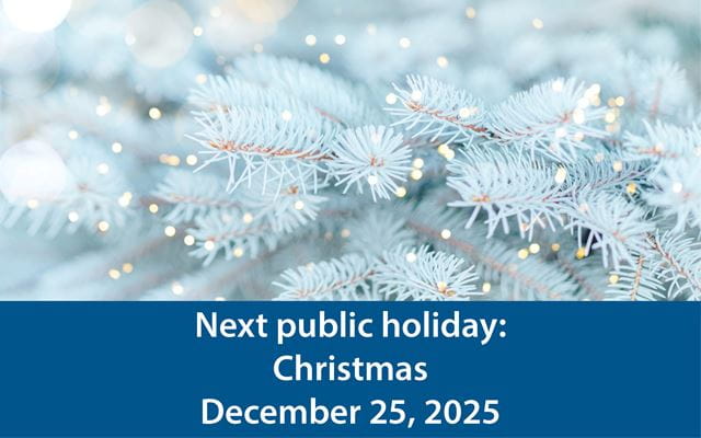 A coniferous tree covered in frost with text reading "Next public holiday: Christmas, December 25, 2025"