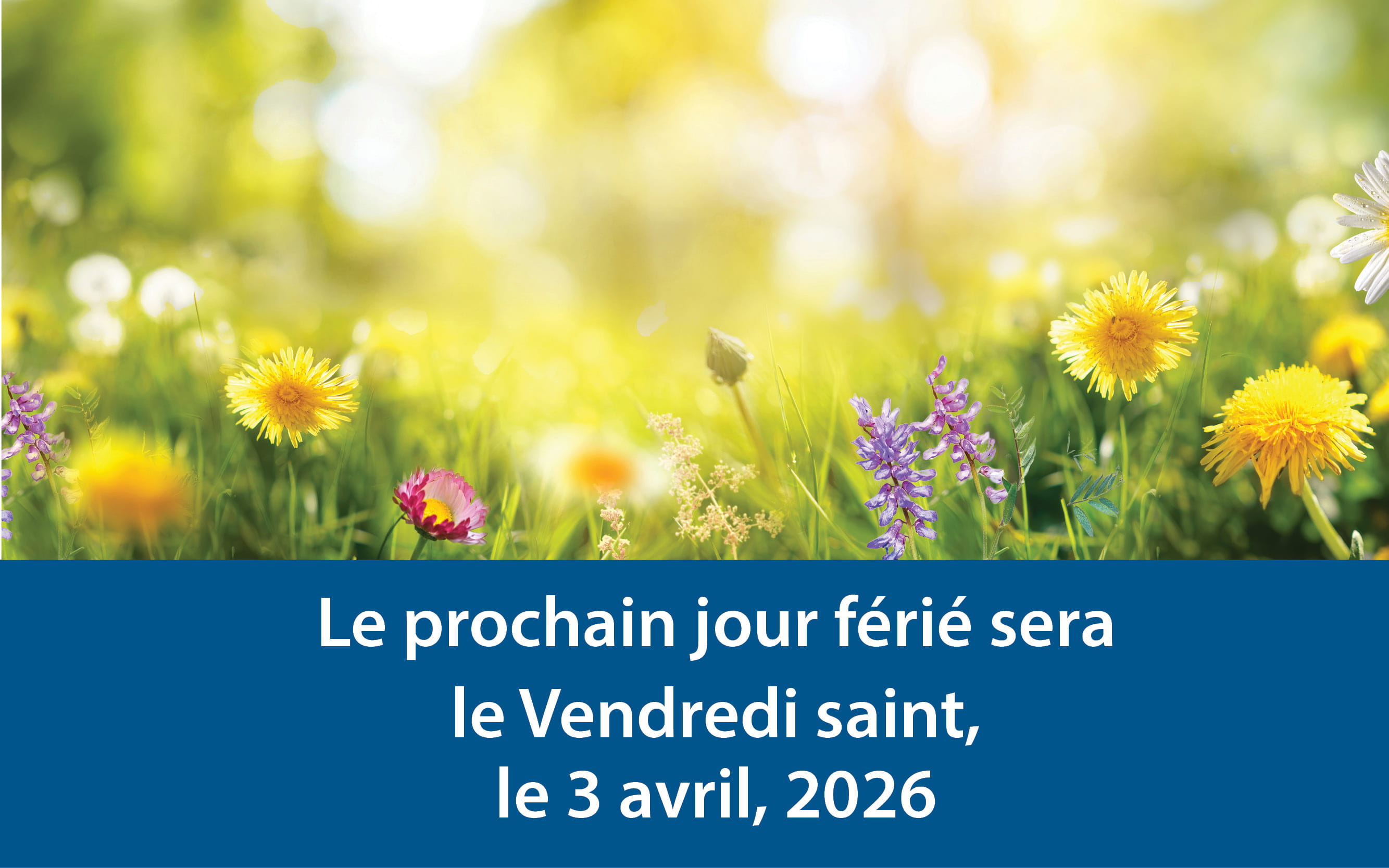 A vibrant field of spring flowers, and the text below the image reads "Le prochain jour ferie sera le Vendredi saint, le 3 avril, 2026."