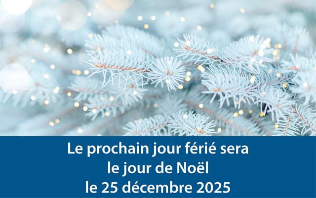 A coniferous tree covered in frost with text reading: "Le prochain jour férié sera  le jour de Noël le 25 décembre 2025"
