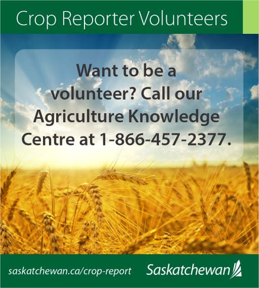 Crop Report For The Period November 12 To 18, 2019 News and Media