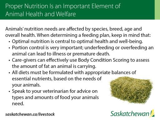 Province Proclaims October 6 To 12, 2019, Animal Health Week | News and  Media | Government of Saskatchewan