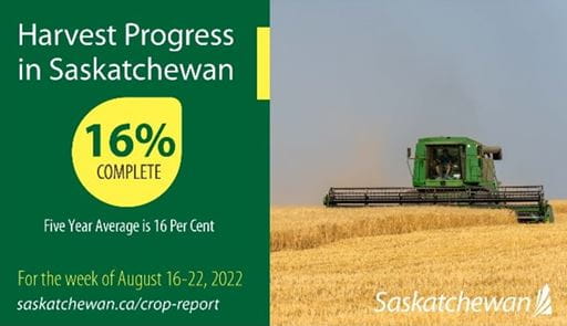 Crop Report Aug 16 to 22