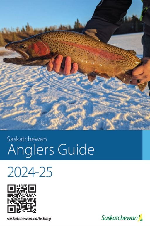 How to Go Rainbow Trout Fishing: An Angler's Guide for 2024