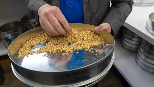 A person holding a pan picking through seeds.  