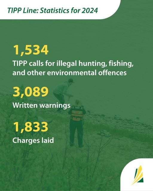 An image of two people standing on a rocky shore near the water, surrounded by grass and plants, with a river in the back. There’s green overlay on the photo, with text mentioning TIPP Line statistics for 2024: 1,534 calls about illegal hunting, fishing, and environmental offenses; 3,089 written warnings; and 1,833 charges laid.