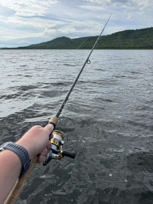 Angler holding fishing rod over lake