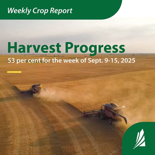 Combine harvesting a crop in a field. Text indicates harvest progress in Saskatchewan