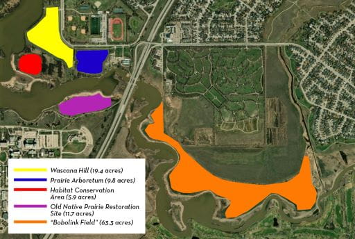 Map of Wascana Centre in Regina, SK with proposed sites for prescribed burns colour-coded. Wascana Hill (19.4 acres) is coloured yellow. Prairie Arboretum (9.8 acres) is coloured blue. Habitat conservation area (5.9 acres) is coloured red. Old Native prairie restoration site (11.7 acres) is coloured purple. Bobolink filed (63.3 acres) is coloured orange.