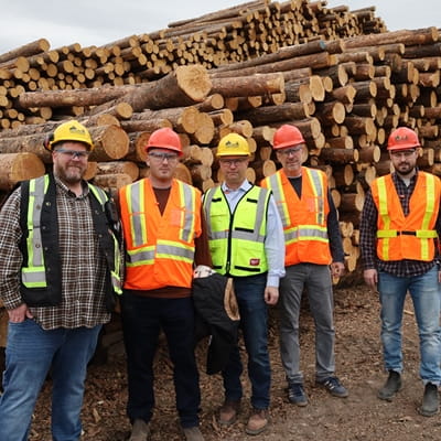 Five workers wearing hard hats, safety glasses, and reflective vests stand in front of large stacks of cut logs at a lumber yard. The workers are dressed in industrial workwear and posed outdoors on a woodchip-covered ground with piled timber filling the background.