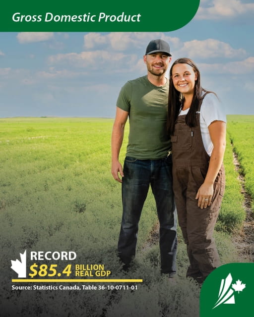 Gross Domestic Product: Record $85.4 billion real GDP. A young man and woman smile in a field.