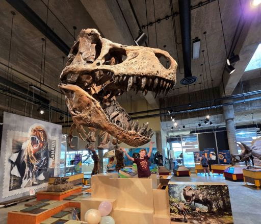 Child standing near Scotty, the World's Largest T.rex. The T.rex Discovery Centre in Eastend opened on May 16, and visitors will see some new attractions this season. Home of Scotty, the world?s largest T. rex, the Centre features marine reptiles, prehistoric mammals, dinosaur fossils, interactive programming and much more.