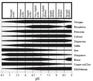 Potato Seed Spacing Chart