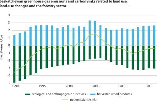 Managed Forests And Greenhouse Gas Emissions Productivity