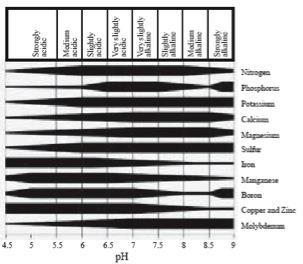 Availability of nutrients to plants in relation to soil pH Chart.